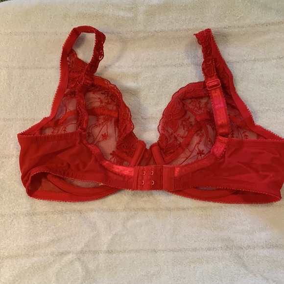 Sheer Red Underwire Bra from Felina Lingerie - Picture 4 of 6